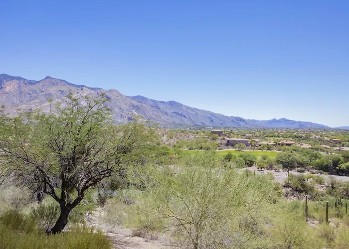 Resort The Westin La Paloma & 4*